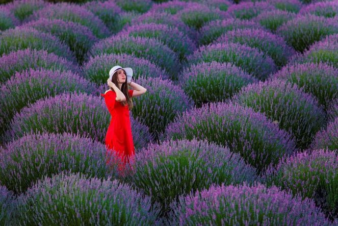 Her damlası çok değerli! Litresi tam 780 lira - Resim: 1