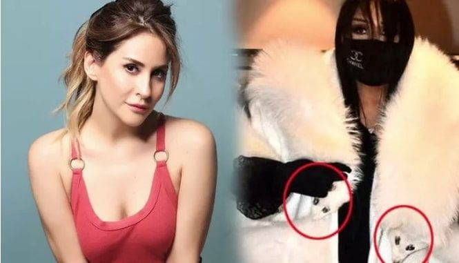 Bülent Ersoy'un 40 bin TL'lik kürkü Aynur Aydın'ı çıldırttı sert çıktı - Resim: 2