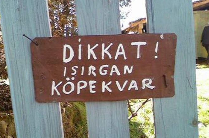 Yurdum insanı yine iş başında - Resim: 4