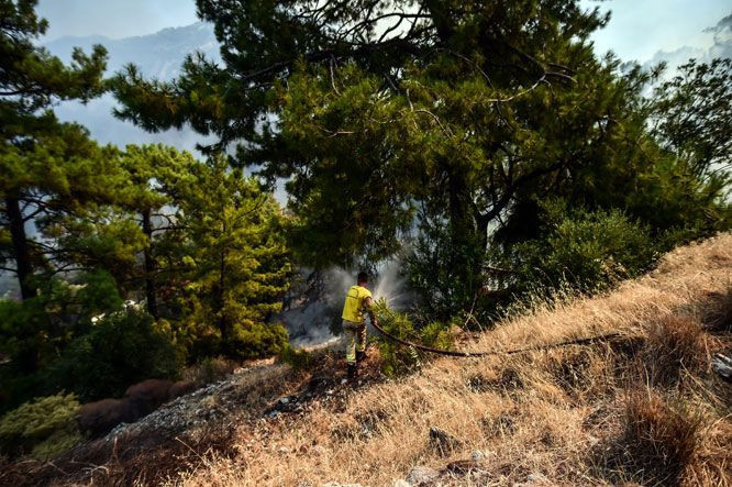 Marmaris’te alevler bir anda yükseldi! Yolu trafiğe kapattı - Resim: 3