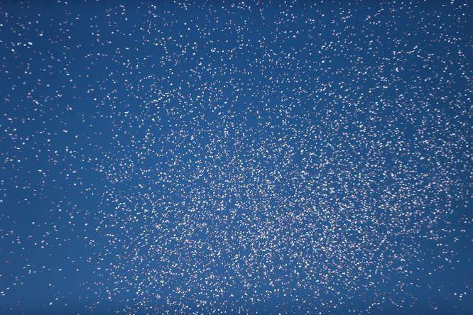 Son 24 saatte 42 ölü! İsrail ordusu havadan broşür attı - Resim: 3