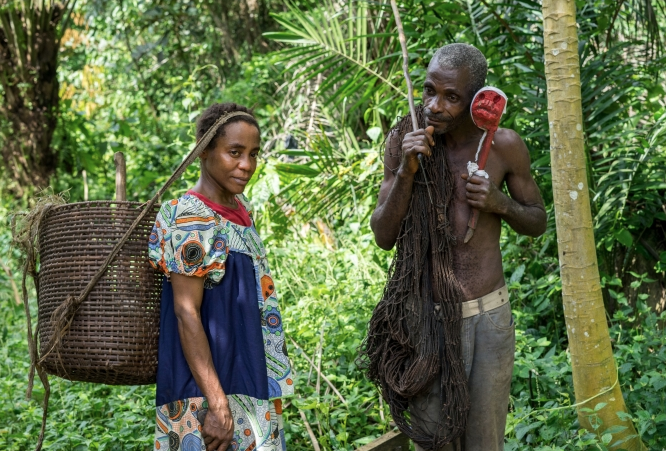 Ağaç kabuğuyla kürtaj! Dünya bu olayı konuşuyor Pygmy kabilesine bakın - Resim: 2
