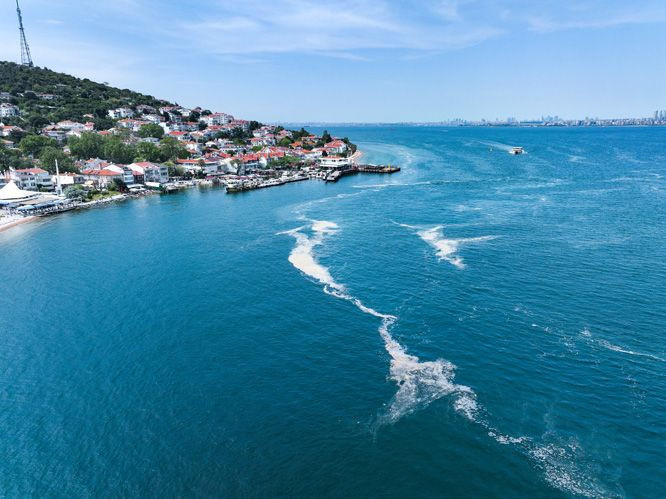 Marmara’da endişelendiren görüntü! Yeniden ortaya çıktı - Resim: 3