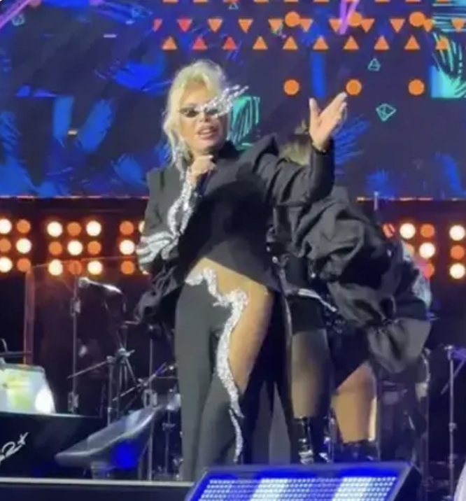 Ajda Pekkan konserinde coştular! Demet Şener ve Ebru Şallı eğlenceye doydu! - Resim: 3