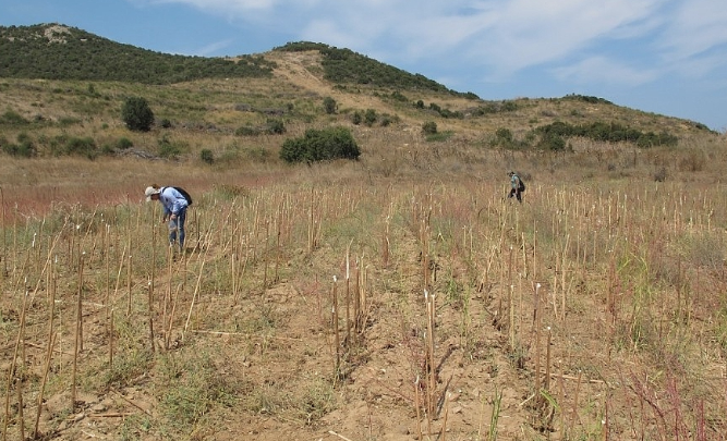 Çanakkale'de 2700 yıllık antik kent keşfedildi - Resim: 4