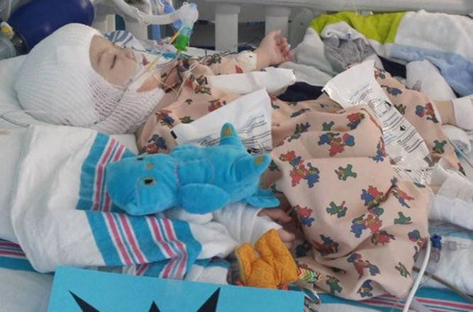 10 milyonda bir görülüyor! Mucize kurtuluş - Resim: 3