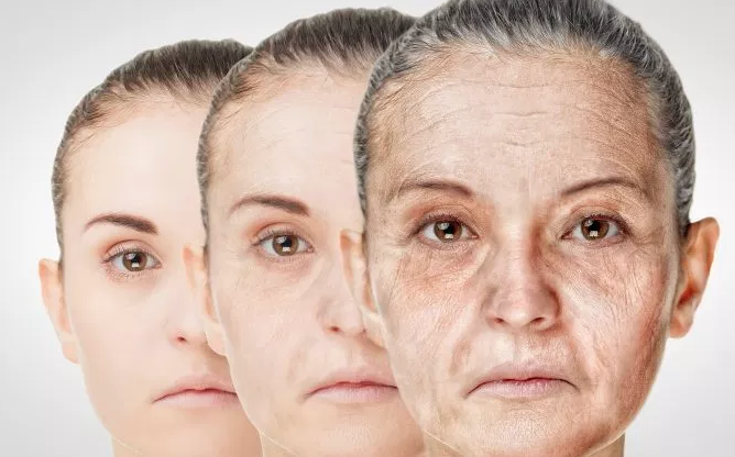 Biyolojik yaş nasıl hesaplanır? İşte biyolojik yaşı küçültmenin sırrı - Resim: 3