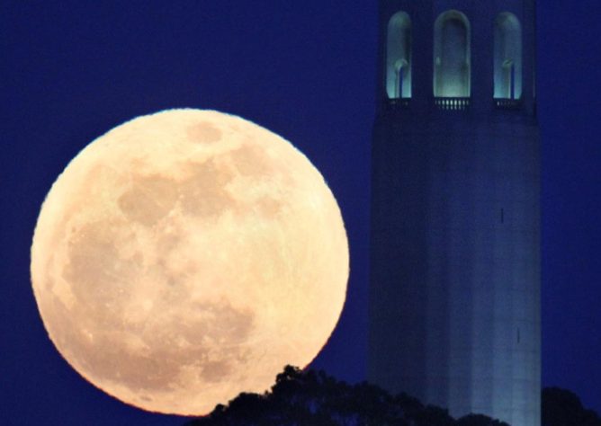 Onu hiç böyle görmemiştiniz! - Resim: 4