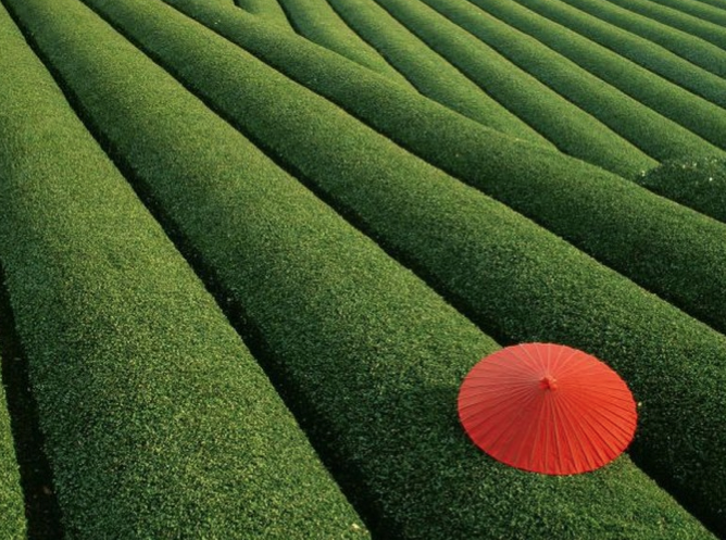 İşte yeryüzündeki cennetler! - Resim: 3