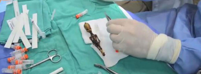 15 cm'lik iskeletin gizemi çözüldü! Kriz başladı - Resim: 3