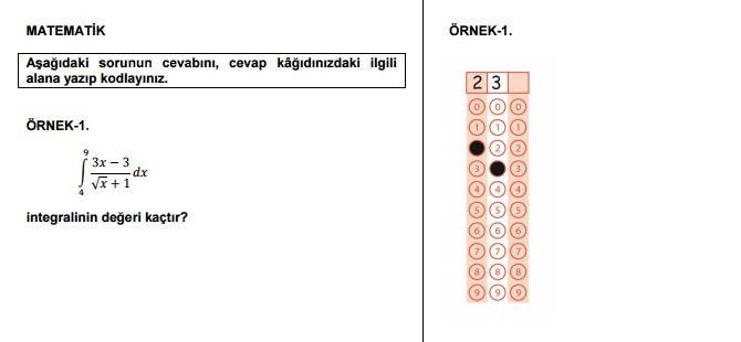 LYS açık uçlu soru örnekleri 2017 çözen fark atacak! - Resim: 4