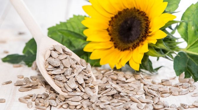 Folik asit nedir? Hangi yiyeceklerde bulunur? - Resim: 3