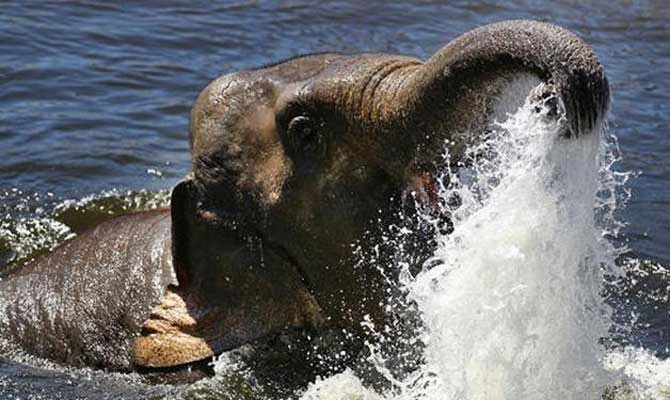 Fotokopi çekerken dişini kırdı! Böyle iş kazası yok - Resim: 2