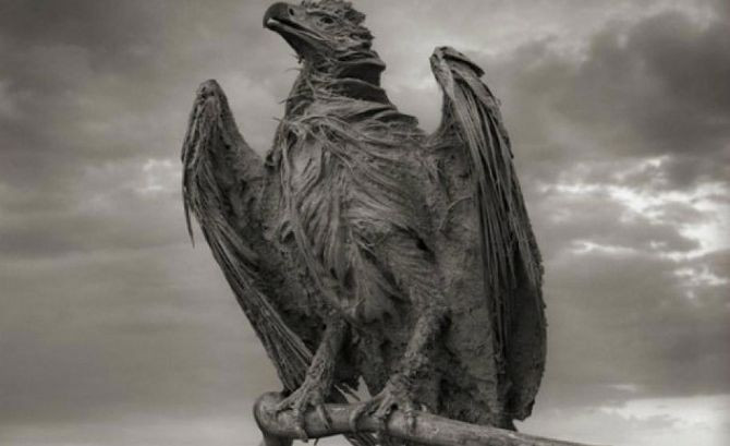 Bu göl canlıları taşa çeviriyor - Resim: 4