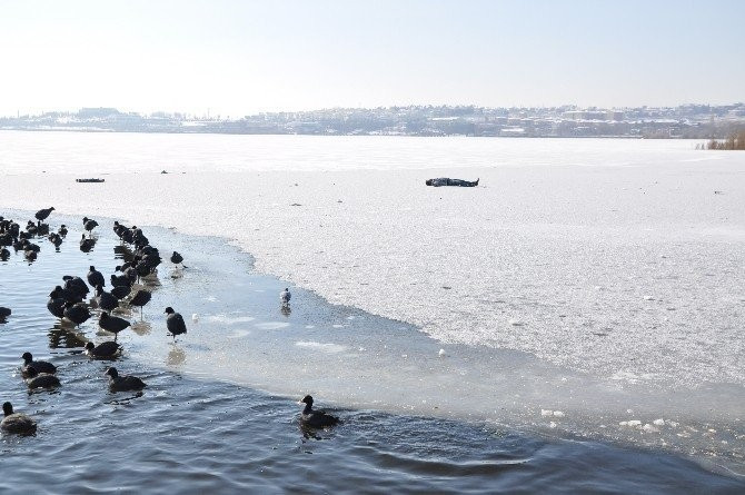 Buz tutan gölde kardeşini böyle buldu - Resim: 2
