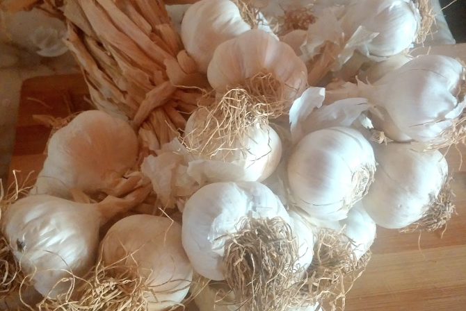 Çiğ sarımsak hakkında bilmediğiniz gerçek! Her gün bir adet tüketin - Resim: 4