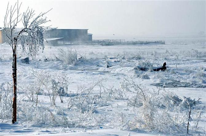 Erzurum'da şaşırtan hava durumu - Resim: 2