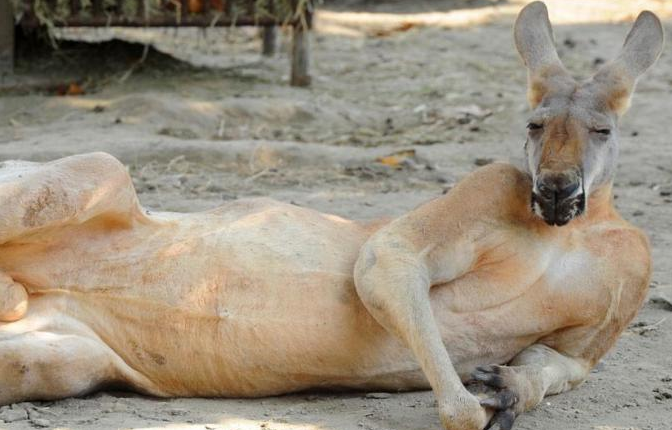 Haftaya damga vuran kareler - Resim: 4