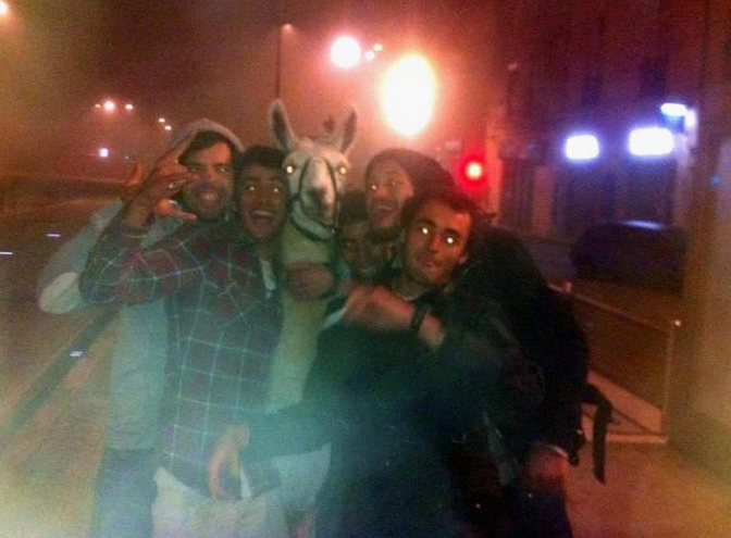 Sarhoş öğrenciler lama kaçırıp tramvaya bindi - Resim: 1