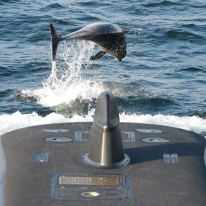 TSK'dan SAT'lı gövde gösterisi! - Resim: 3