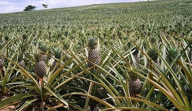 Gerçek olduğuna inamayacağınız ilginç bilgiler - Resim: 2