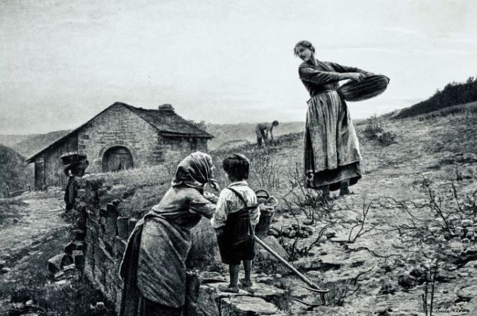 'Osmanlı Devleti'nin yıkılışının nedeni patates' inanılmaz iddia - Resim: 2