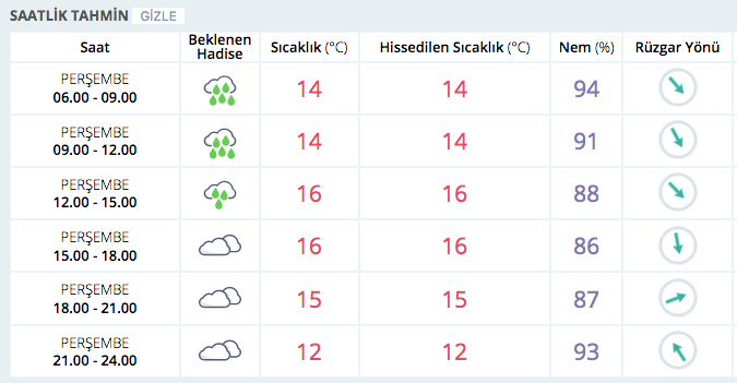 Sıcaklık 8 derece düştü! Hava çok kötü işte saatlik tahmin - Resim: 4