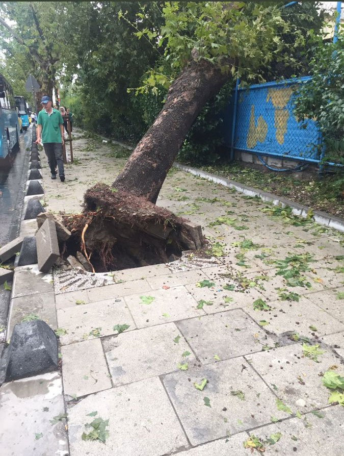 Sinem Kobal doluya nasıl yakalandı az kalsın... - Resim: 3