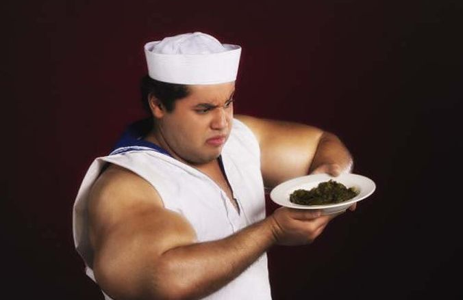 İşte gerçek Temel Reis - Resim: 2