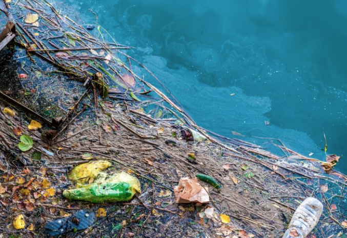 Dünyadaki 8 milyar insanın atıkları bakın nereye gidiyor - Resim: 3