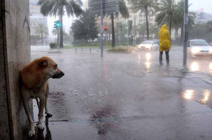 Dünya bu kareleri konuştu - Resim: 3