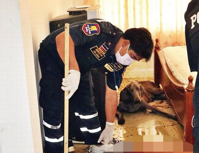 Yatak odasında vahşet! Sadakat açlığa kadarmış - Resim: 1