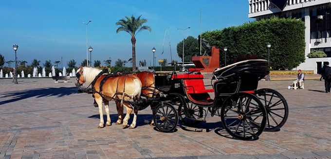 Haluk Levent'ten Başkan Soyer'e fayton teşekkürü - Resim: 1
