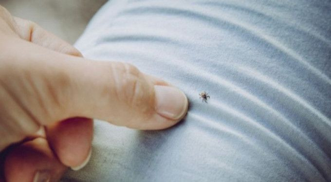 Koronavirüsten daha öldürücü! Bu yıl erken başladı büyük şehirler de tehlikede - Resim: 2