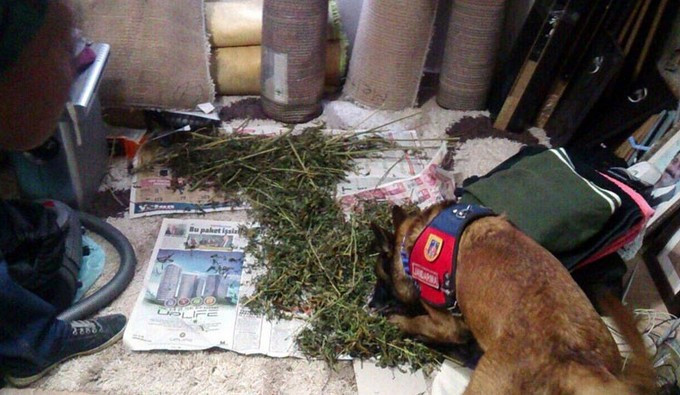 Selim Erdoğan 'içiciyim' dedi ama evinden çıkan şok detay - Resim: 4