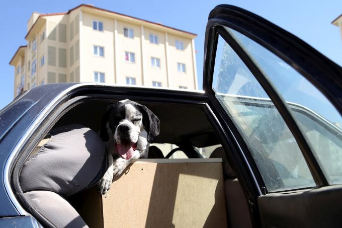 Eski otomobilden bakın ne yaptı   - Resim: 1