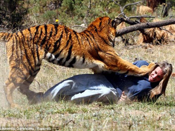 Kaplanla şaka olmaz! - Resim: 3