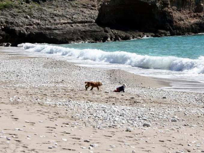 Köpek bebeği böyle kurtardı - Resim: 3