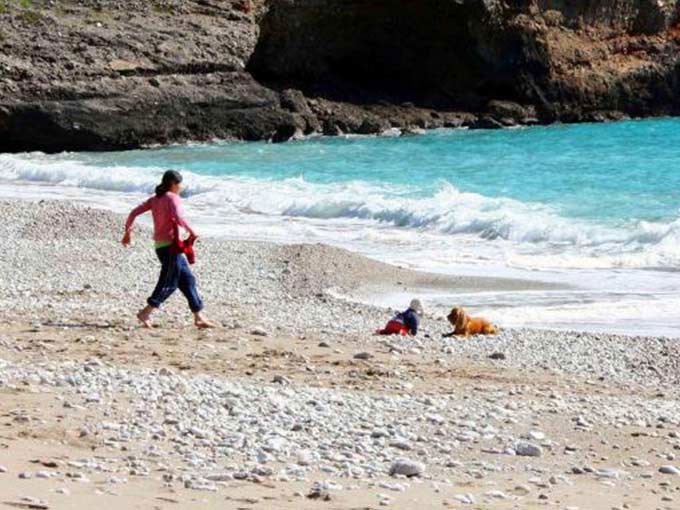 Köpek bebeği böyle kurtardı - Resim: 4