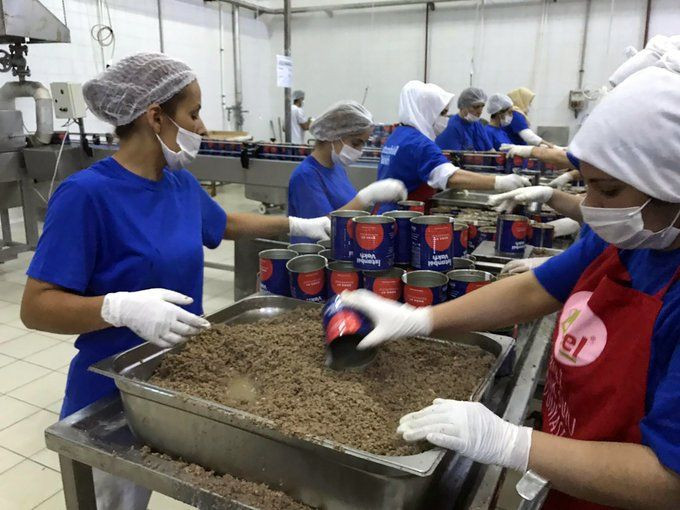 İstanbul Büyükşehir'in kurban kavurmaları bozuldu! Görüntüler mide bulandırıcı - Resim: 1