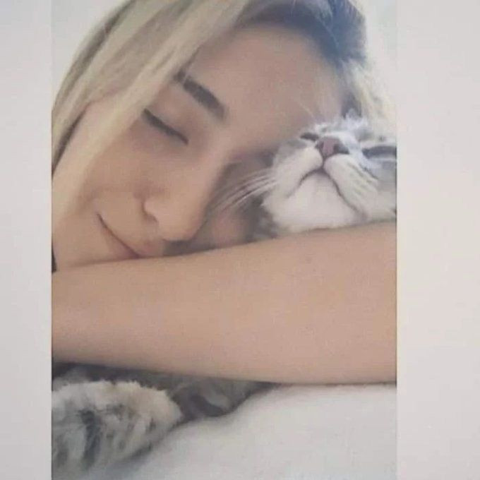 Çağla Alara'nın İstanbul'daki esrarengiz ölümü! Erkek arkadaşı ambulans çağırıp kaçtı - Resim: 3