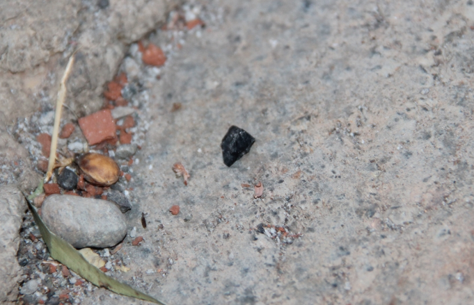 Bingöllüleri zengin eden Sarıçiçek göktaşının sırrı çözüldü! Tam 22 milyon yıllık... - Resim: 4