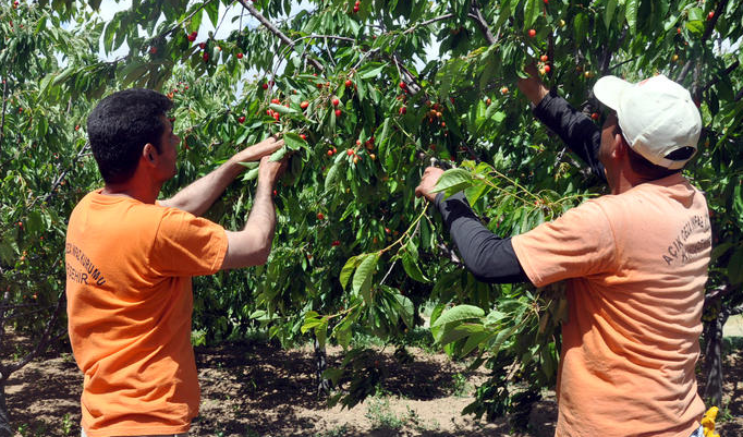 Bu cezaevi para basıyor - Resim: 3