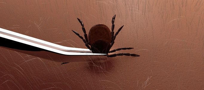 Koronavirüsten daha öldürücü! Bu yıl erken başladı büyük şehirler de tehlikede - Resim: 1