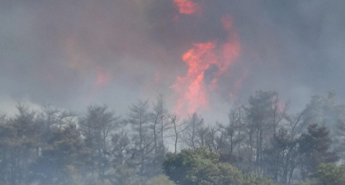 Çanakkale yanıyor evler boşaltılıyor  - Resim: 4