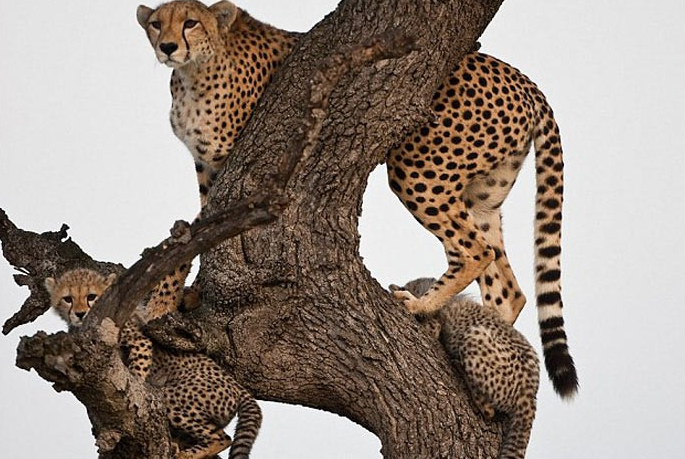 En çok tık alan kareler - Resim: 4