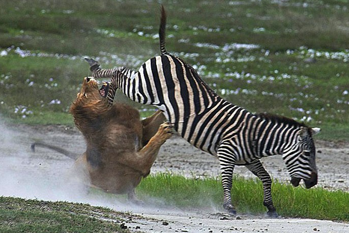 Günün en çok tıklanan fotoğrafları - Resim: 3