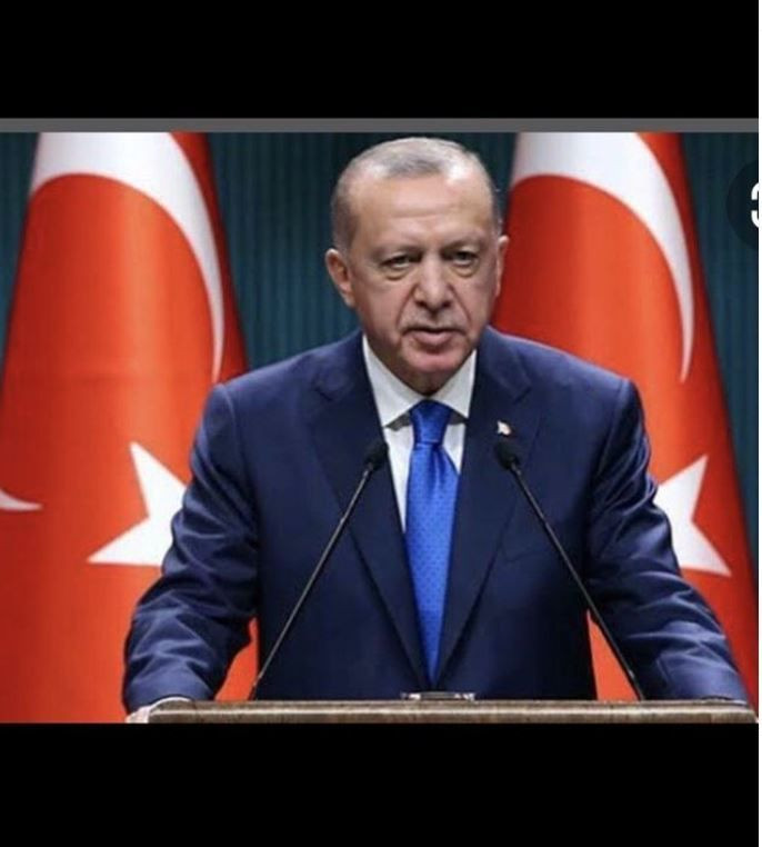 Erdoğan'ın 'Sokak köpekleri toplatılsın' sözüne Tuğba Ekinci'den cevap: Sizi severim fakat... - Resim: 4