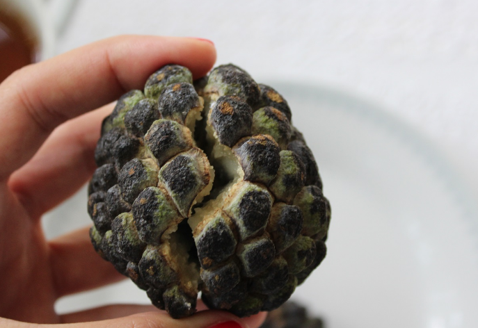 Mucize besin deniliyor! Adını daha önce duymadınız - Resim: 4