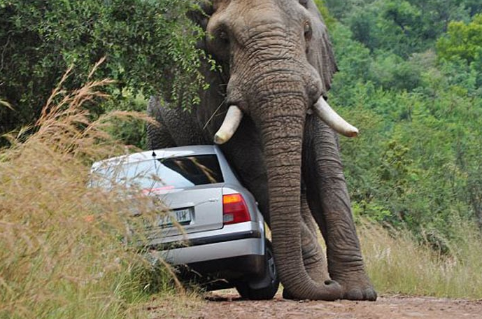 En çok tık alan kareler - Resim: 2